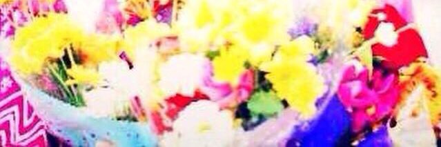 gisselanp's profile banner image