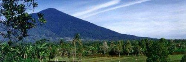 antimuna45 Profile Banner