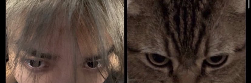 ohyuIll's profile banner image