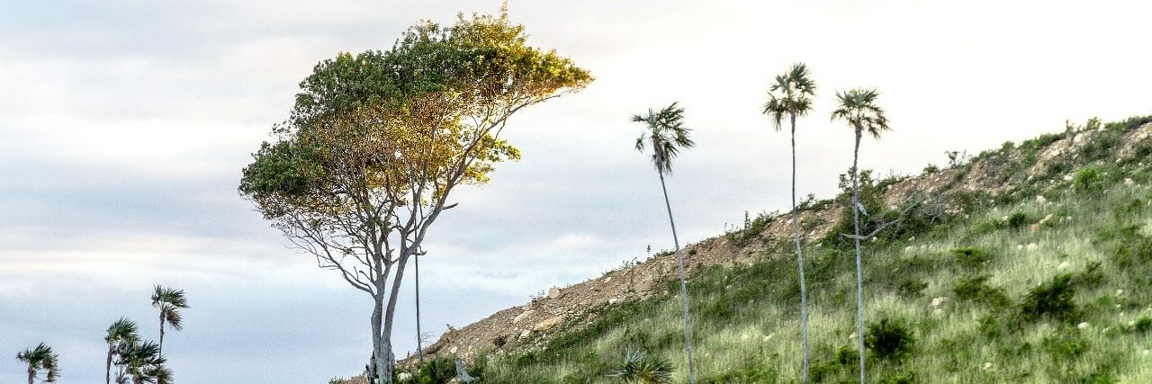 Eddya_g's profile banner image