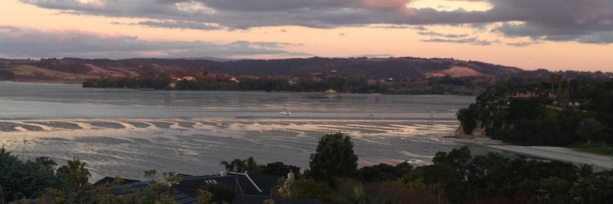 NZPrimaryTeachers banner