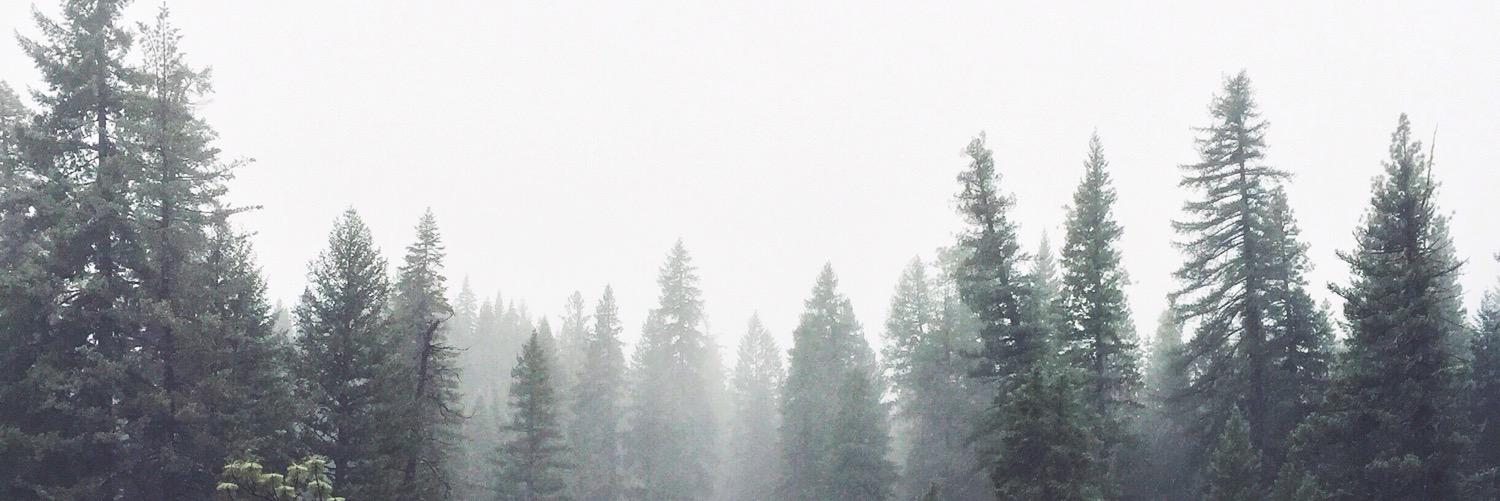 emmacb7's profile banner image