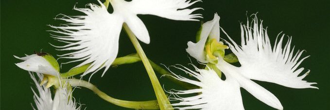 일어나..걷자! banner