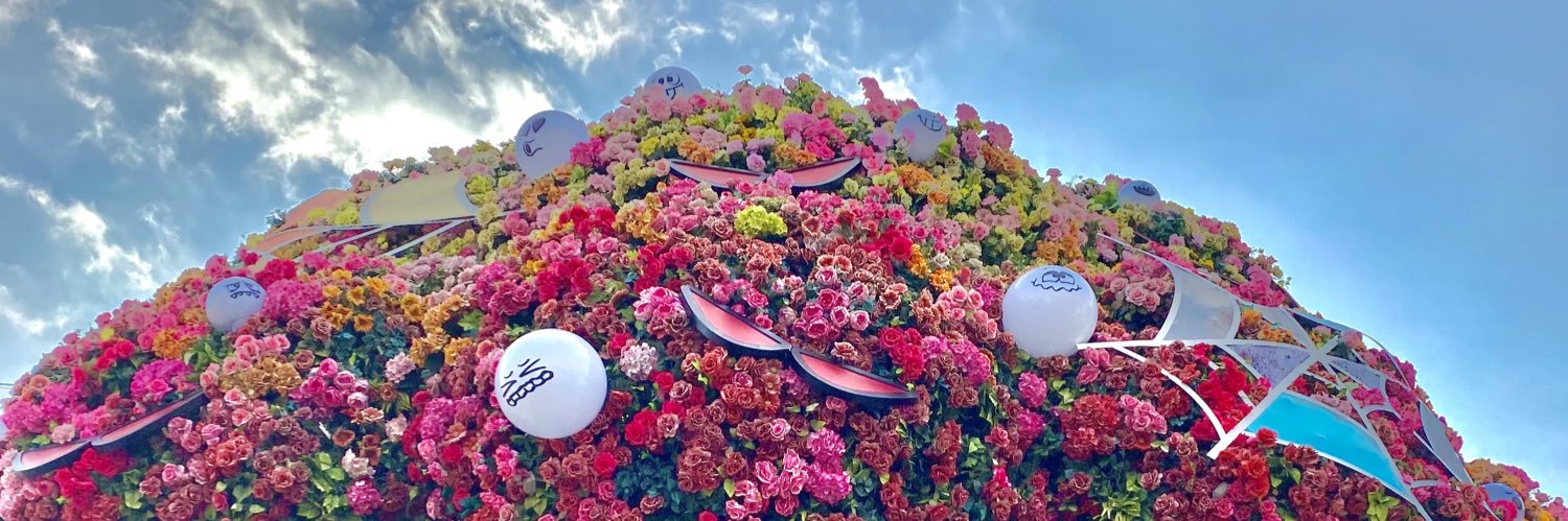 🦋 세민 🦋 banner