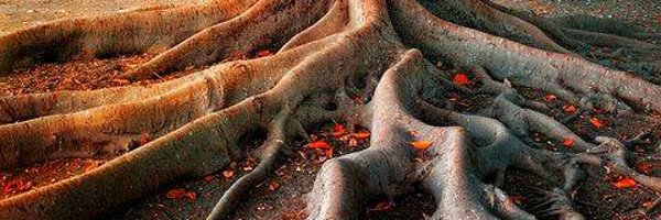 Expediente1965 Profile Banner