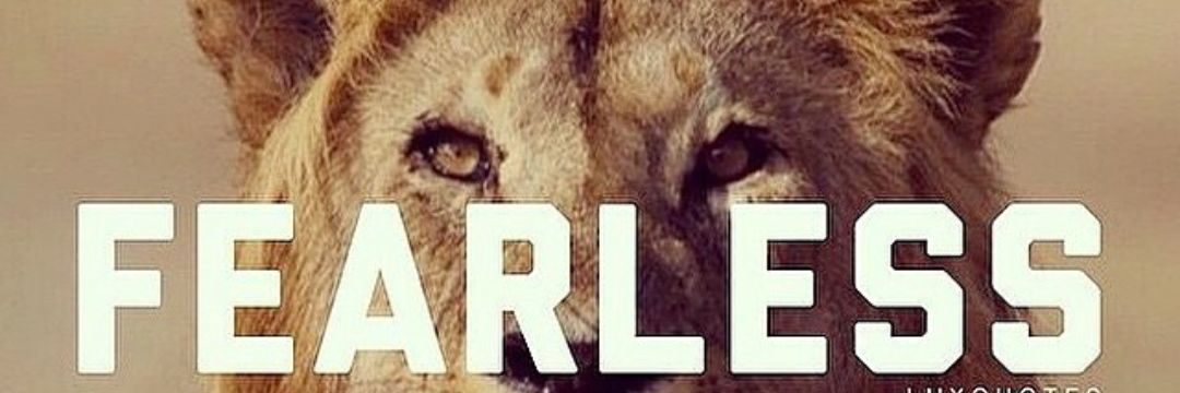 LDM_joe's profile banner image