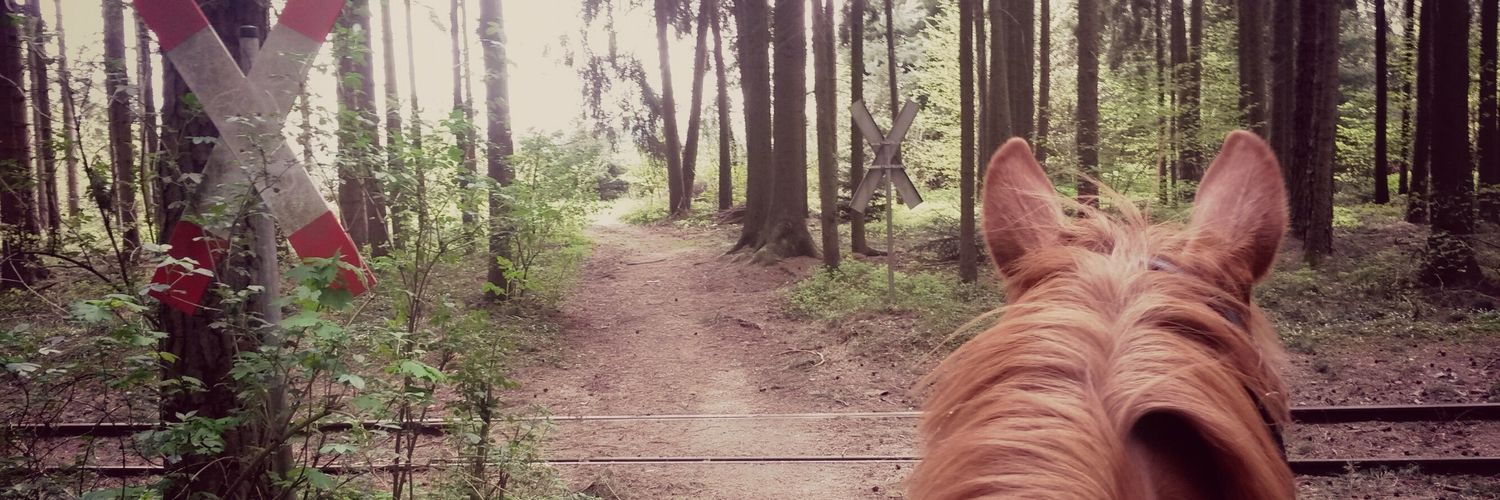 Charlotte_231_'s profile banner image