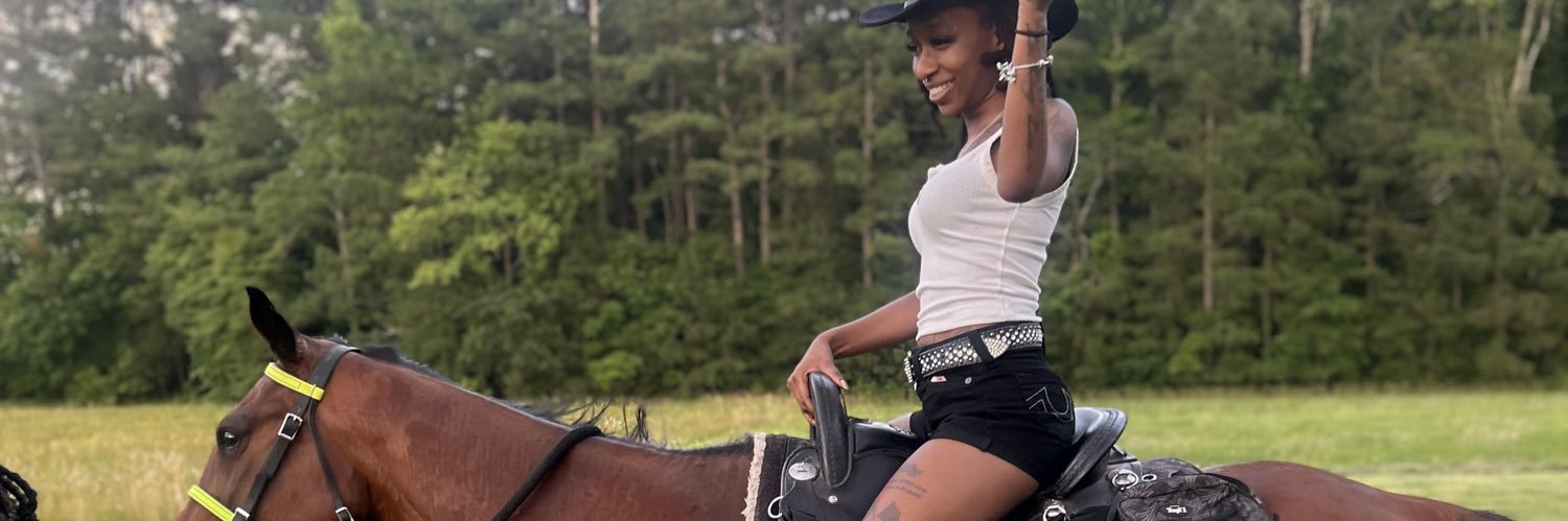 ashleymerving's profile banner image