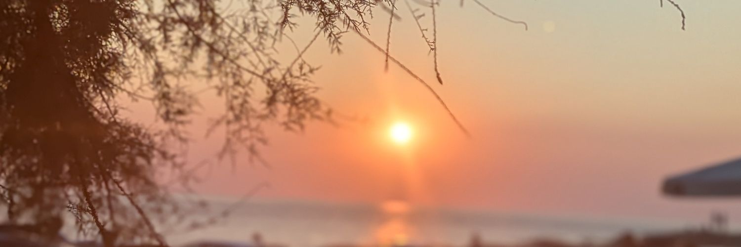 _freedom101_'s profile banner image