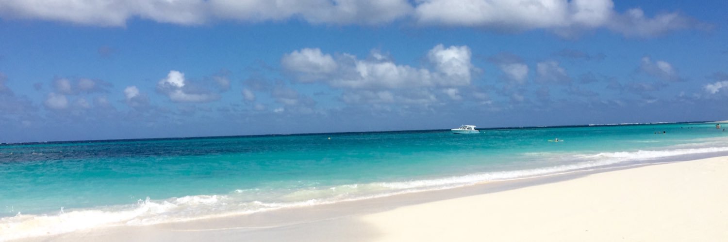 Sandra Schmidt banner