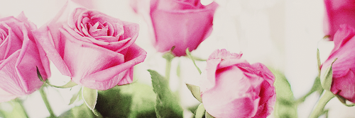 Trasseyk's profile banner image