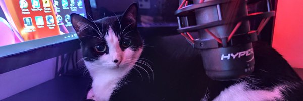 silasvrb_ Profile Banner