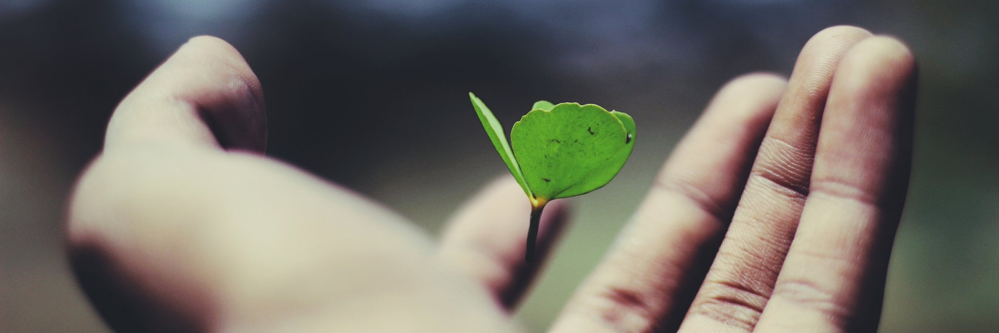 eorganicAU's profile banner image