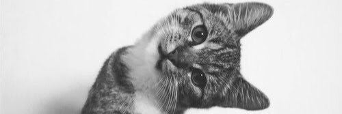 corey_tags's profile banner image