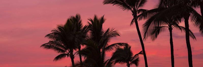 _yxsminn's profile banner image