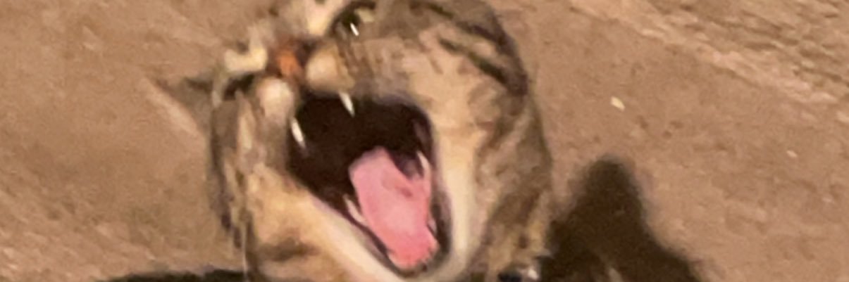 K_Reidy's profile banner image