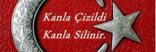 hamitceylann's profile banner image