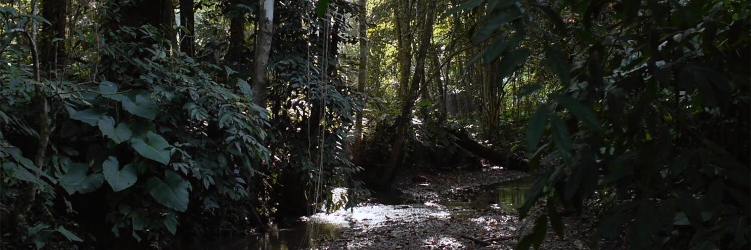 video_ross's profile banner image
