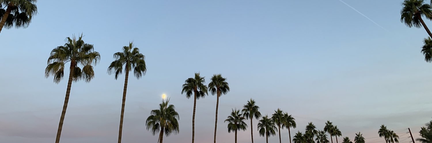 Casey Cohen, Ed.D. banner