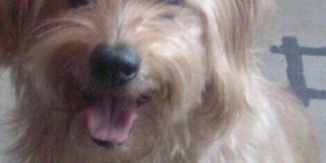 knupke124's profile banner image