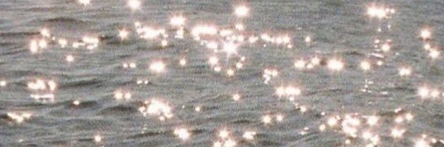 𝙋𝙪𝙧𝙖 𝙑𝙞𝙙𝙖𓇢𓆸 banner