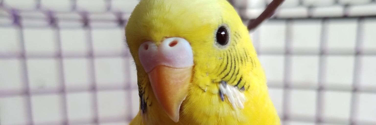 sumitmishraaa's profile banner image