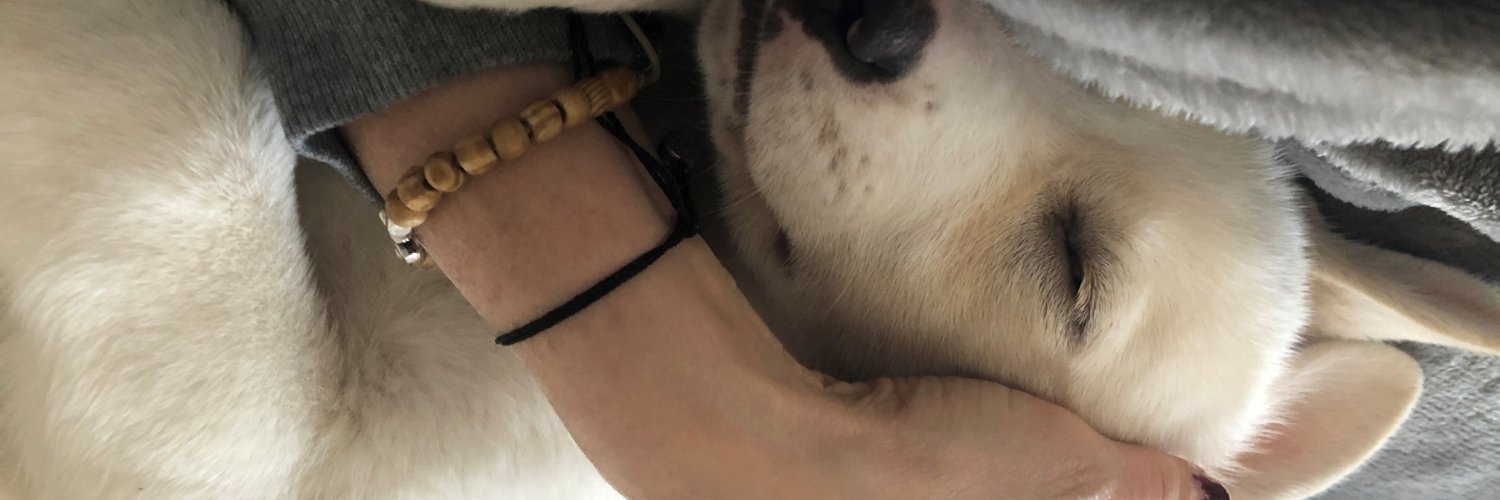 dorie_martin's profile banner image