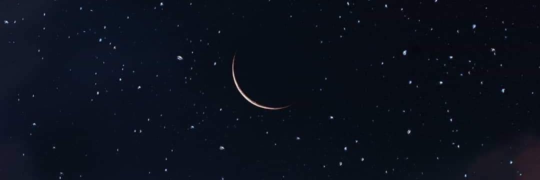 rexic1's profile banner image