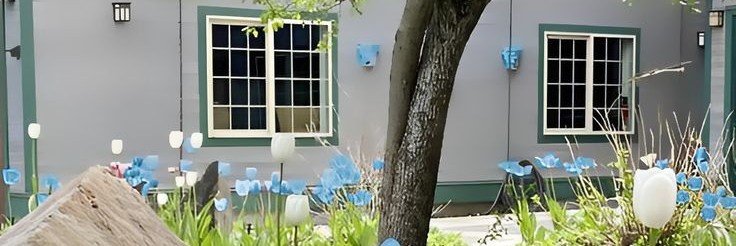 oihaneul's profile banner image