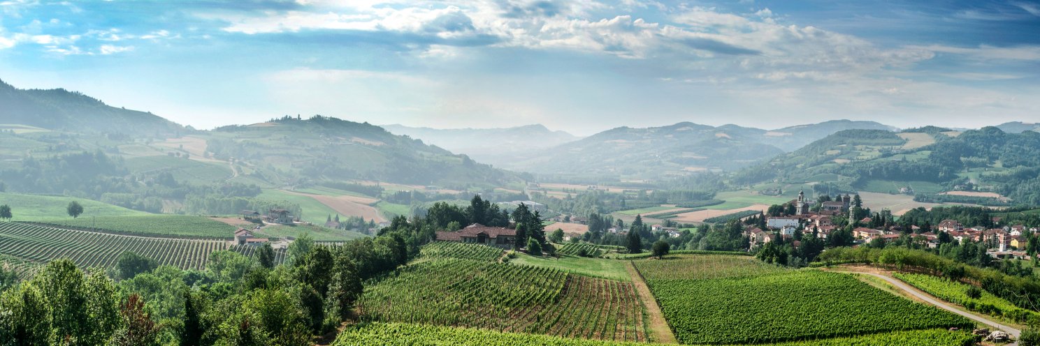 Alta Langa DOCG banner