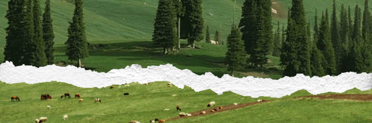 ibobnow's profile banner image