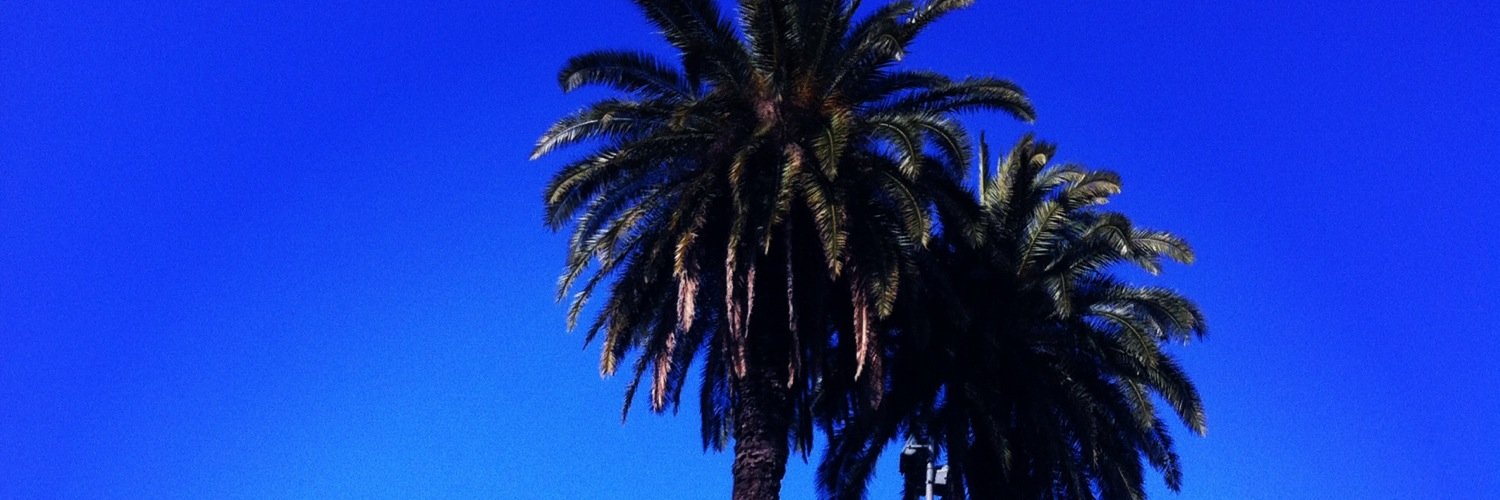 flocrane_flo's profile banner image