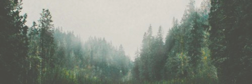 Pocahontas_WD's profile banner image