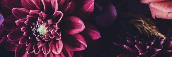 ItsHeidiPorter's profile banner image