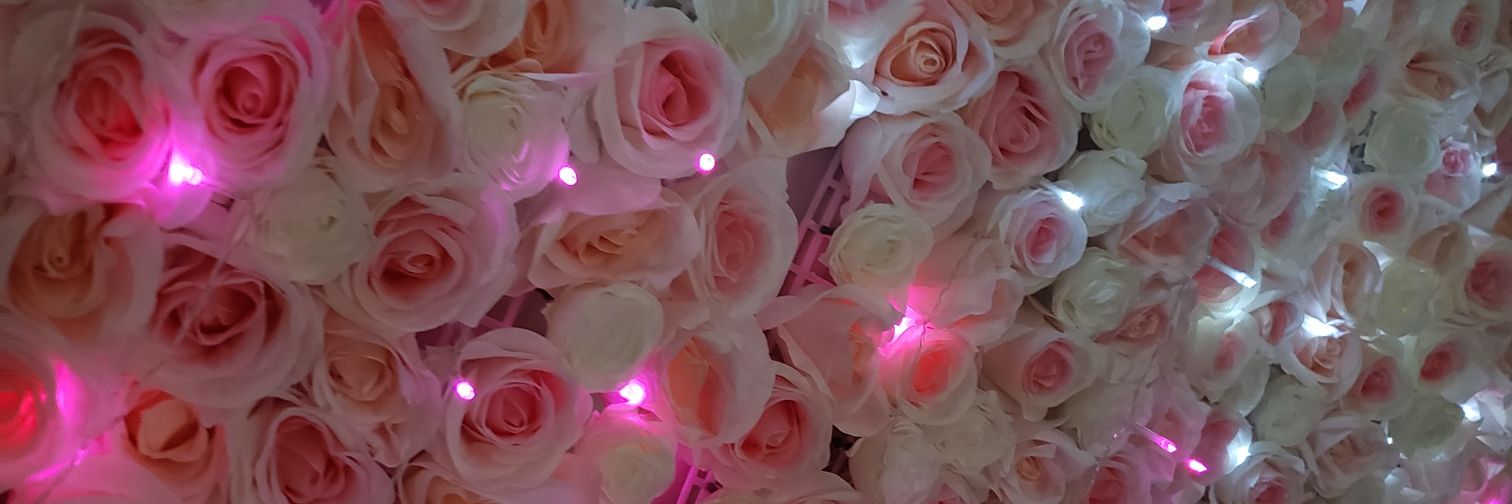 elyntrea's profile banner image