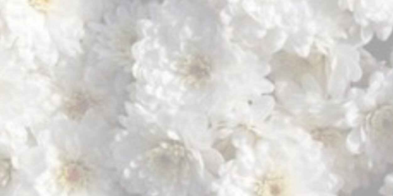 1kylie69's profile banner image