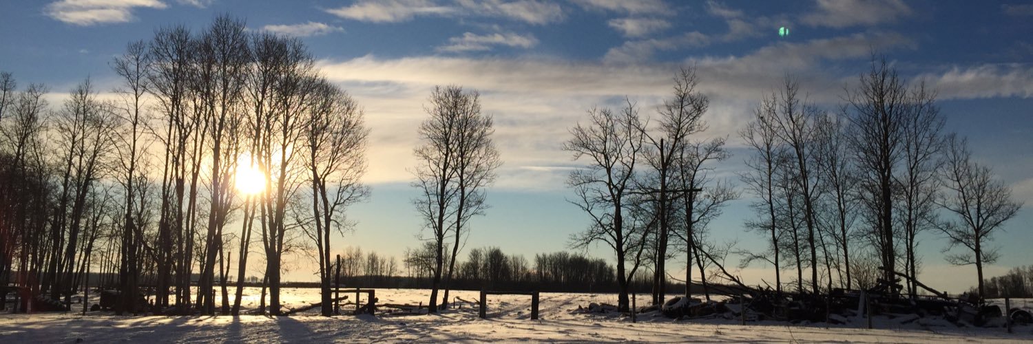 amberwoodske's profile banner image