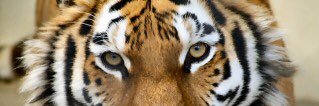 hide__AK69's profile banner image