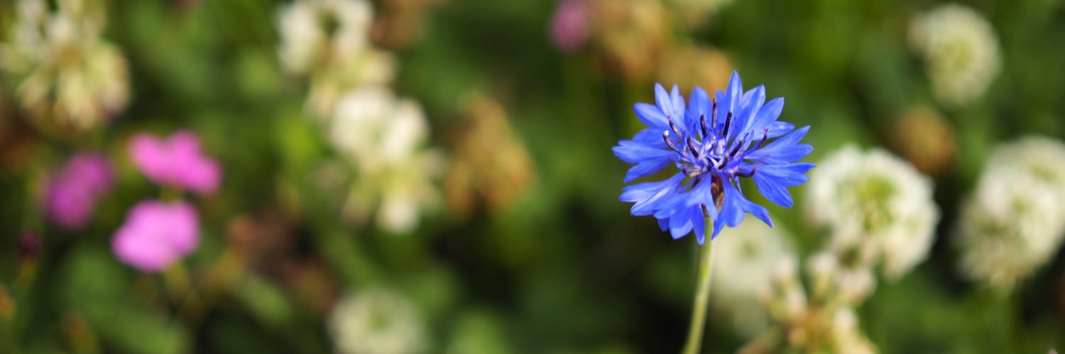 ayK___U's profile banner image