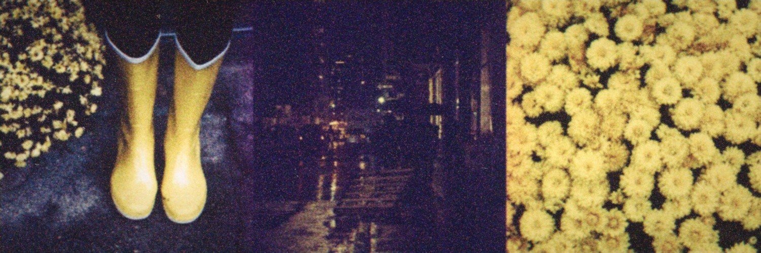 imwinterfh's profile banner image