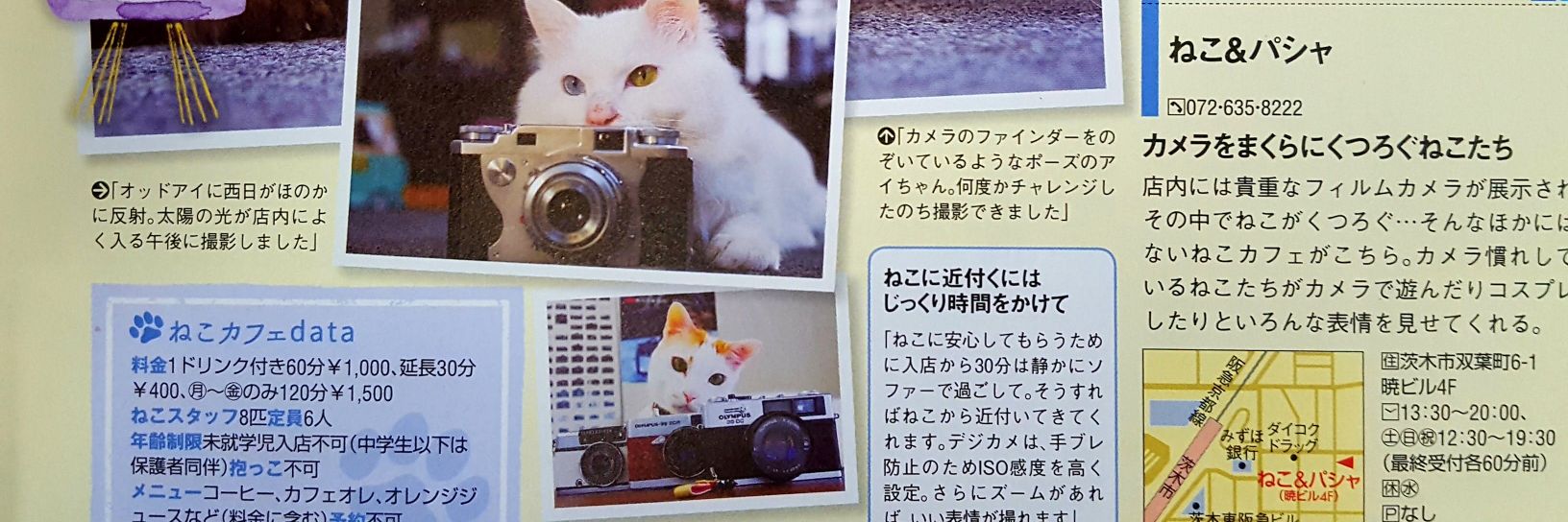 Lumix_Catcamera's profile banner image