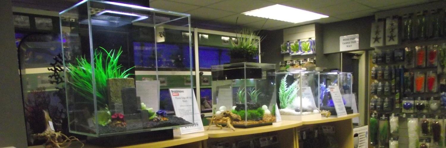 bradshawsdirect's profile banner image