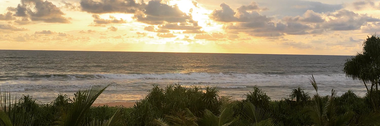 Mel Fitzgerald banner