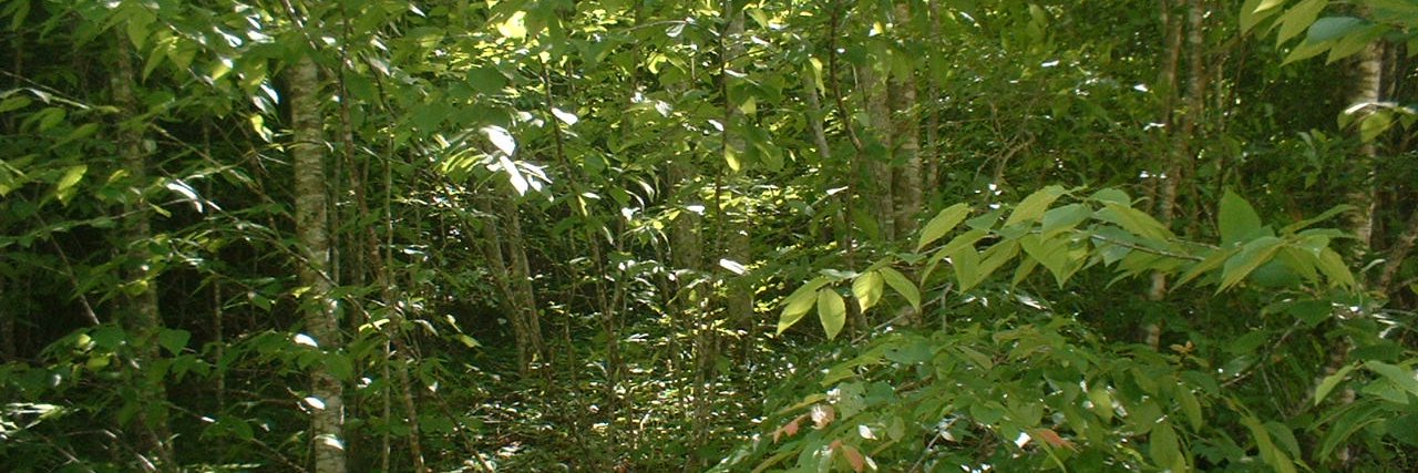 PaulBFletcher1's profile banner image