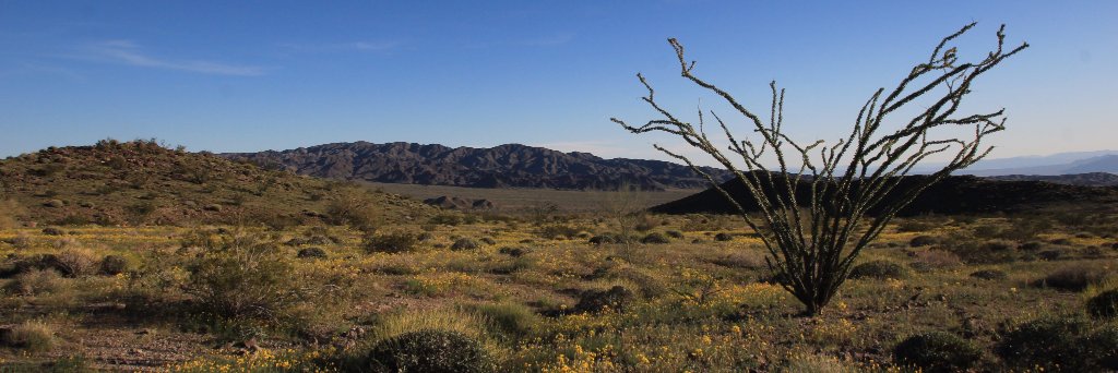 Lori 🌻🌼🌻🌼🌻 banner