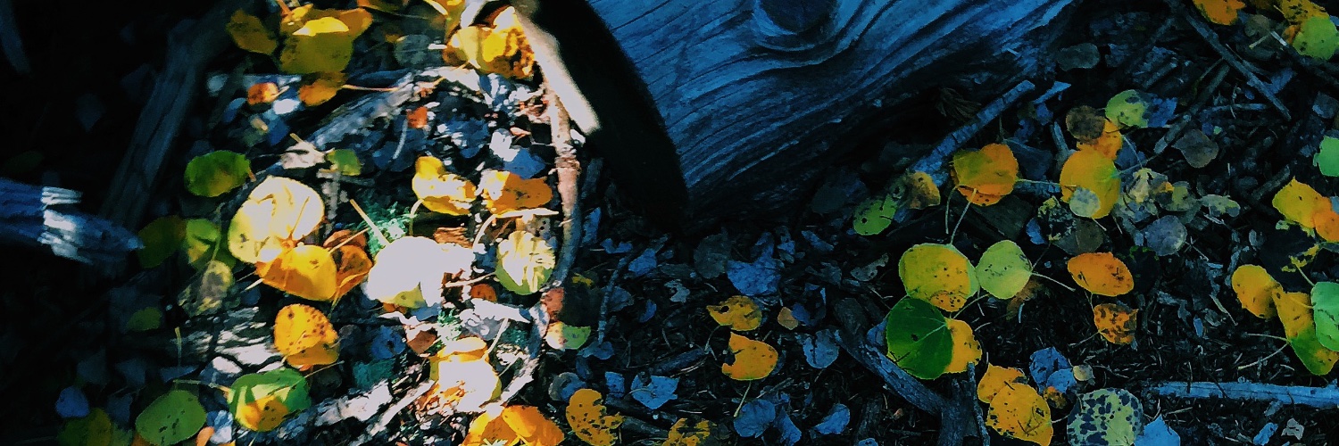 LordManthony's profile banner image