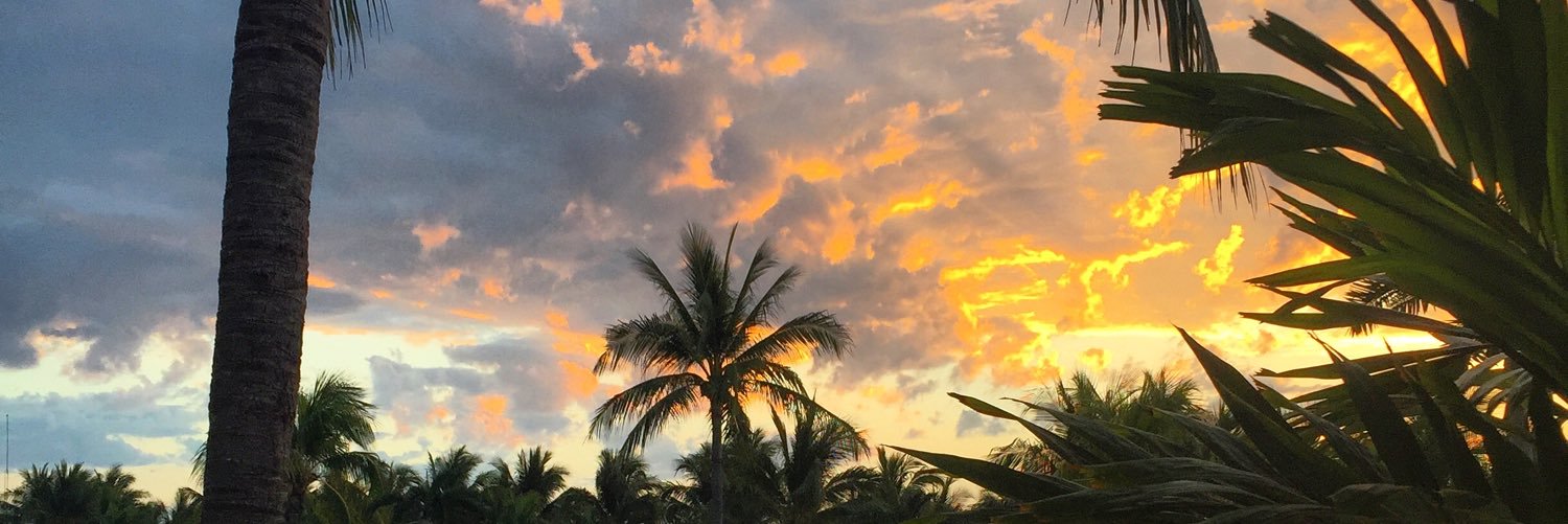 scottjmaclean's profile banner image