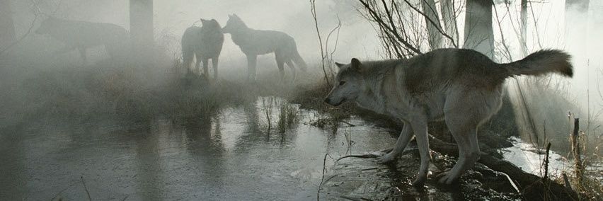 Esteban_ccc's profile banner image
