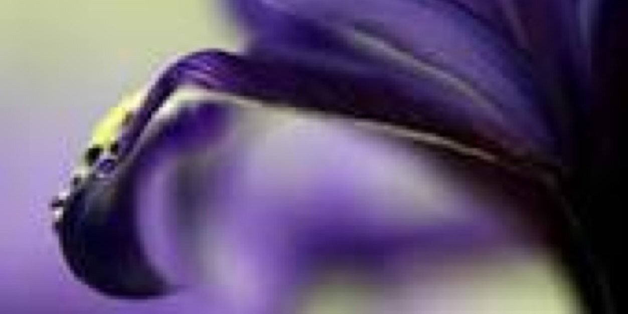 zmnf4444's profile banner image