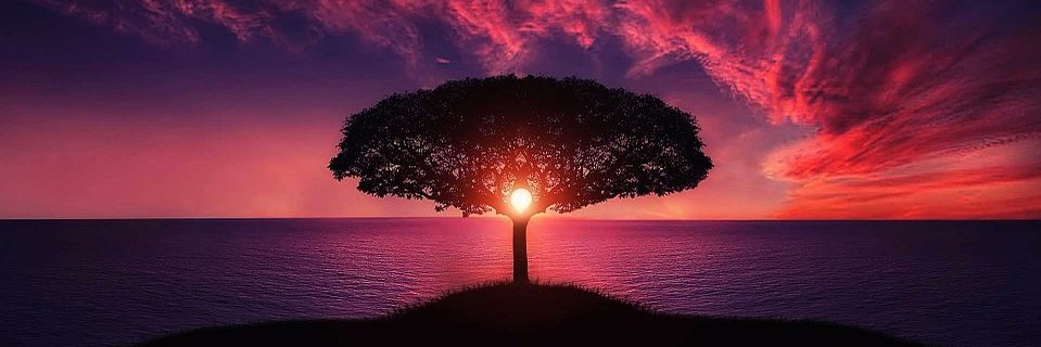 SandySherrill's profile banner image